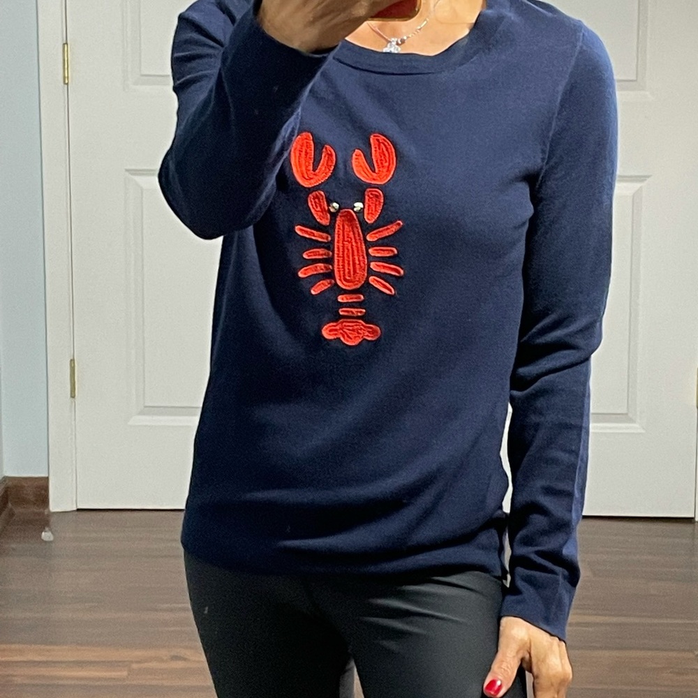 J Crew 100% Cotton Crawfish Embroidery long sleeves Sweater size XS - Picture 1 of 7